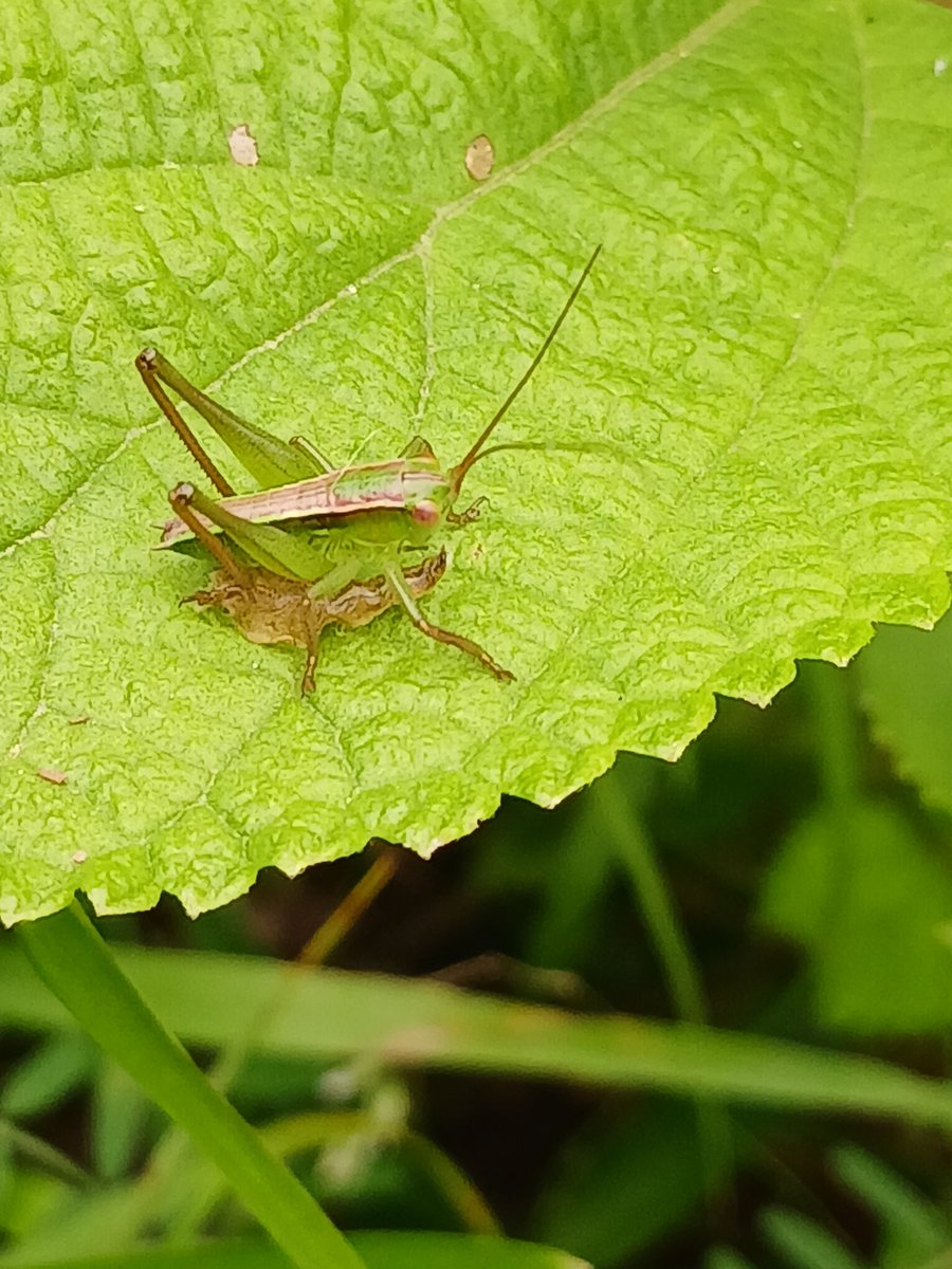 dorobe56 tweet media