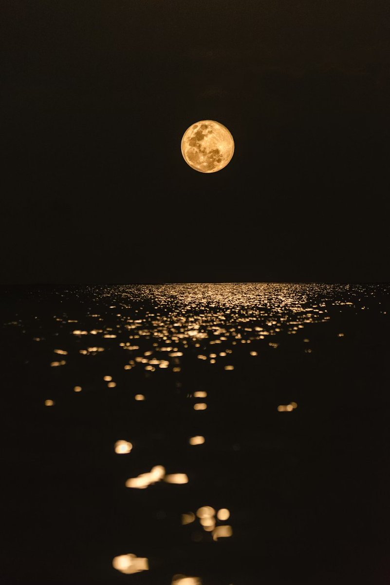 wphayoung's tweet image. 4th chapter of my Werewolf-Jinsol fic is up! 

More Sullbae scenes + full moon's coming 🌕

🔗 archiveofourown.org/works/82482366…

#NMIXX #SCP