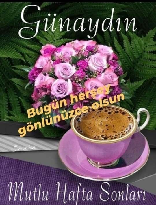 Meltem Zengin tweet media