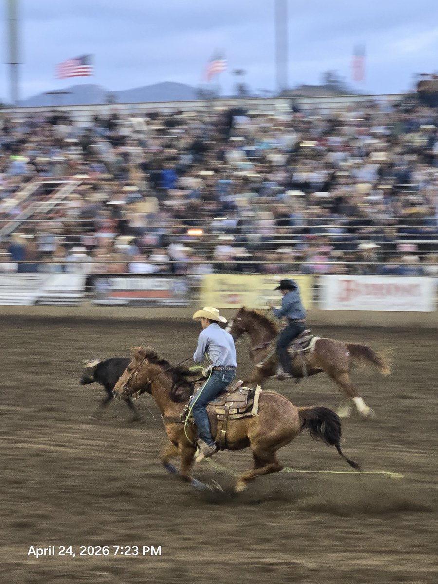 CatholicForLife's tweet image. #Rodeo