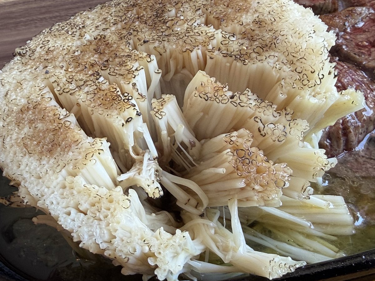 ブラックR＠うさぎ男 tweet media