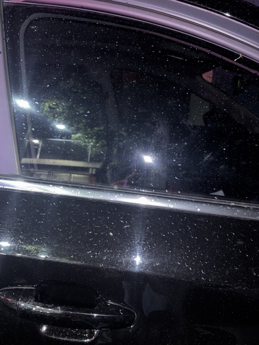 cheliramirez's tweet photo. En la colonia Santa María la rivera alcaldía, calle naranjo @KalimbaMX tiene a 2 perros dentro del auto y su respuesta es que así pueden respirar
@VecManAC ayúdame a compartir por favor urge sacar a esos perros dentro allí @ClaraBrugadaM @arturoislasX @SSC_CDMX @AlessandraRdlv https://t.co/h2eNDJy6cE