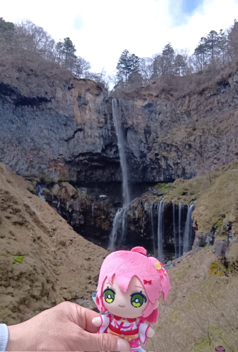 はるくっち🐼🐭🐮👯‍♀️🌸🐧⚡ tweet media