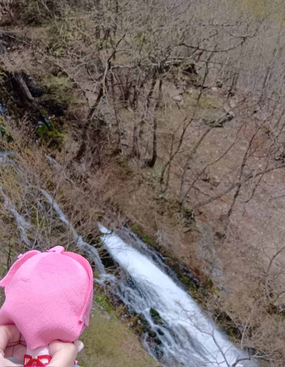 はるくっち🐼🐭🐮👯‍♀️🌸🐧⚡ tweet media