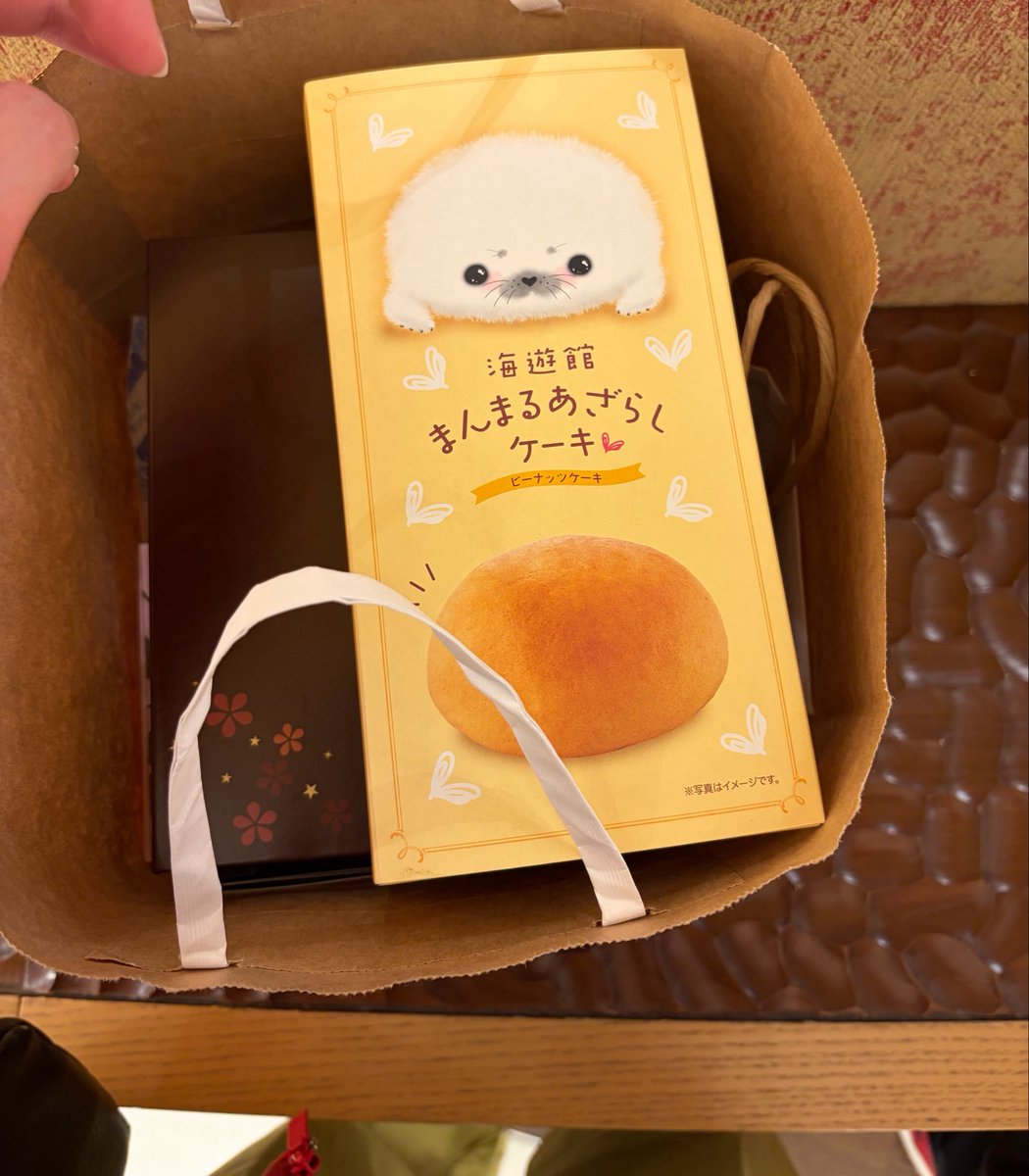 ともちきん(猫組) 配信者 tweet media