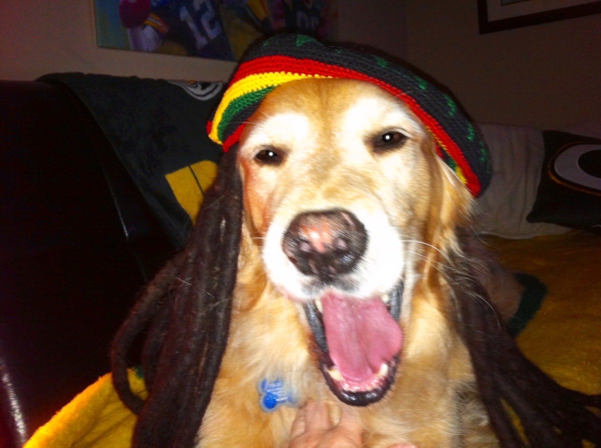 luba 📿 tweet media