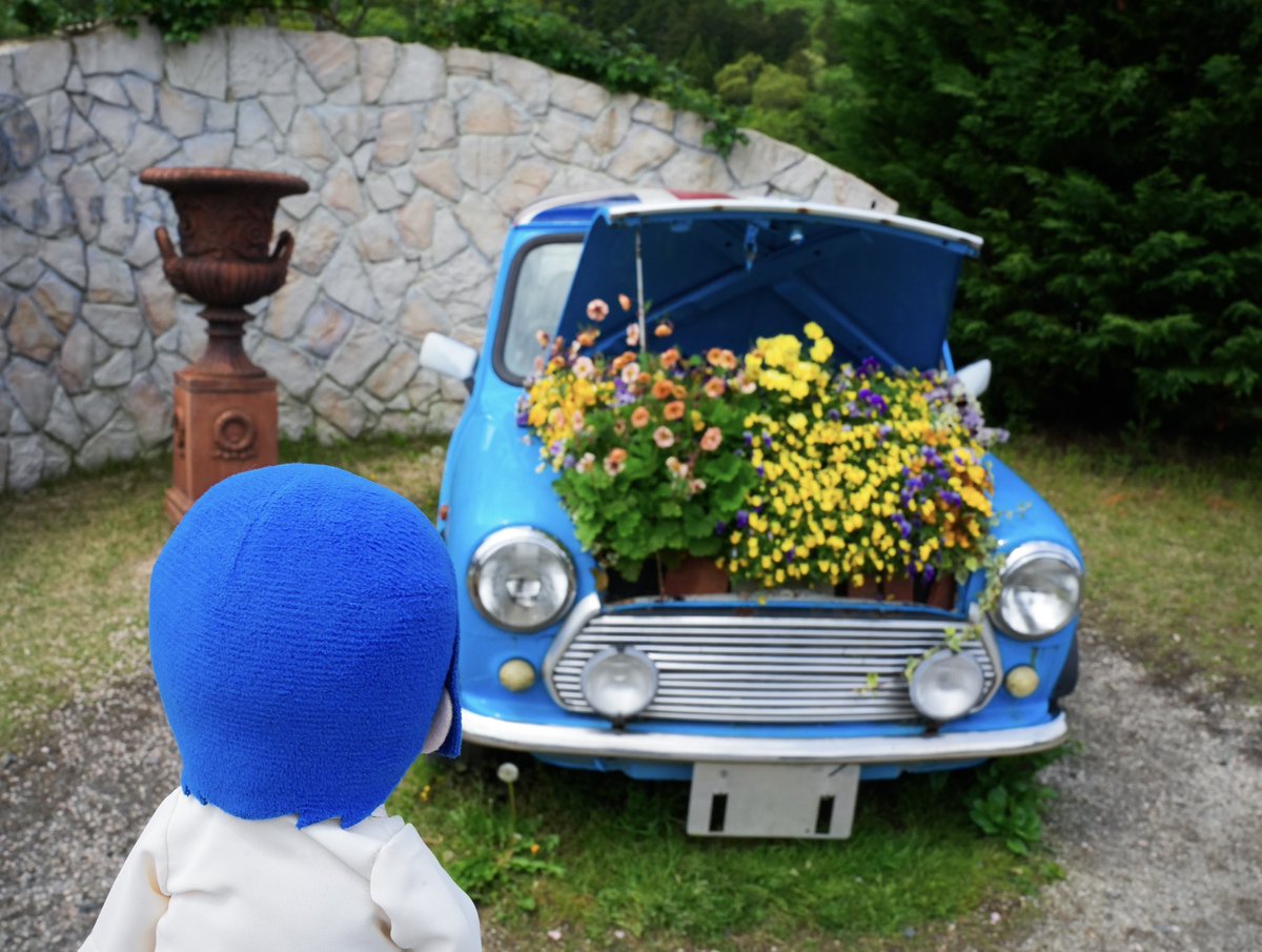 おでかけ真斗くん tweet media