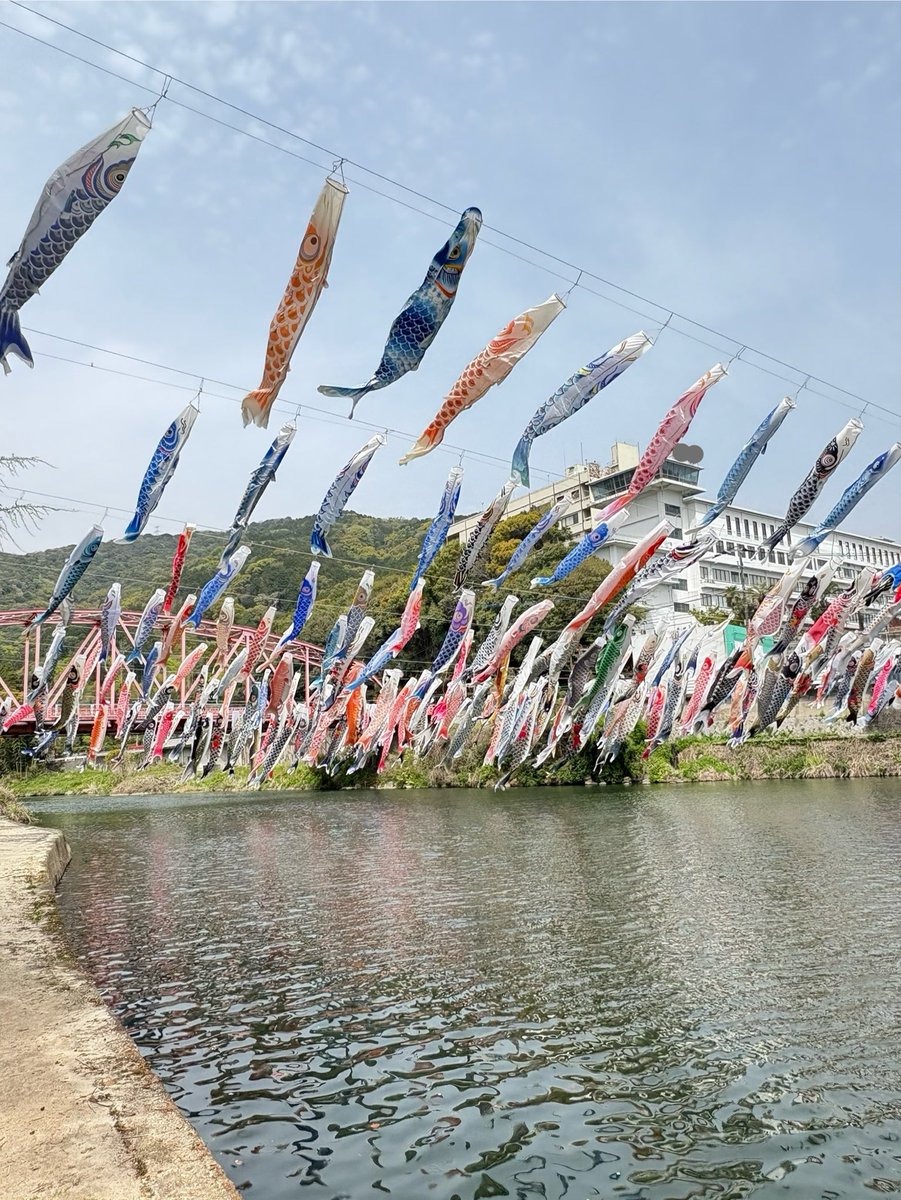 xxkichiku's tweet photo. 鯉のぼり🎏✨ https://t.co/EnmVENSIN8