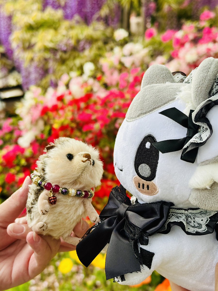 🌸あしフラ！(∩ˊ꒳​ˋ∩)🌸
<a href="/potmarigold31/">きんか</a>