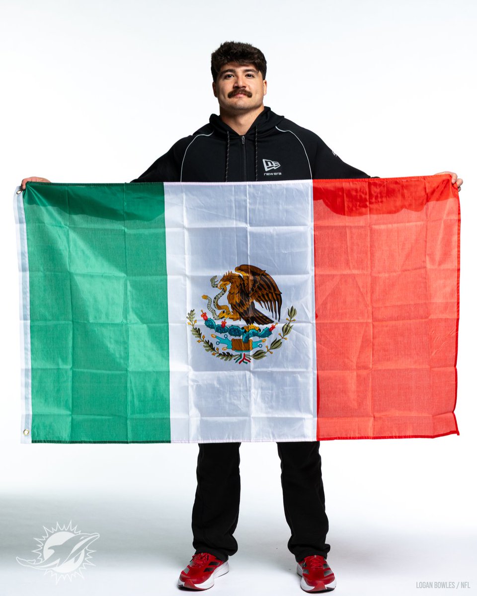 Dolphins en Español tweet media