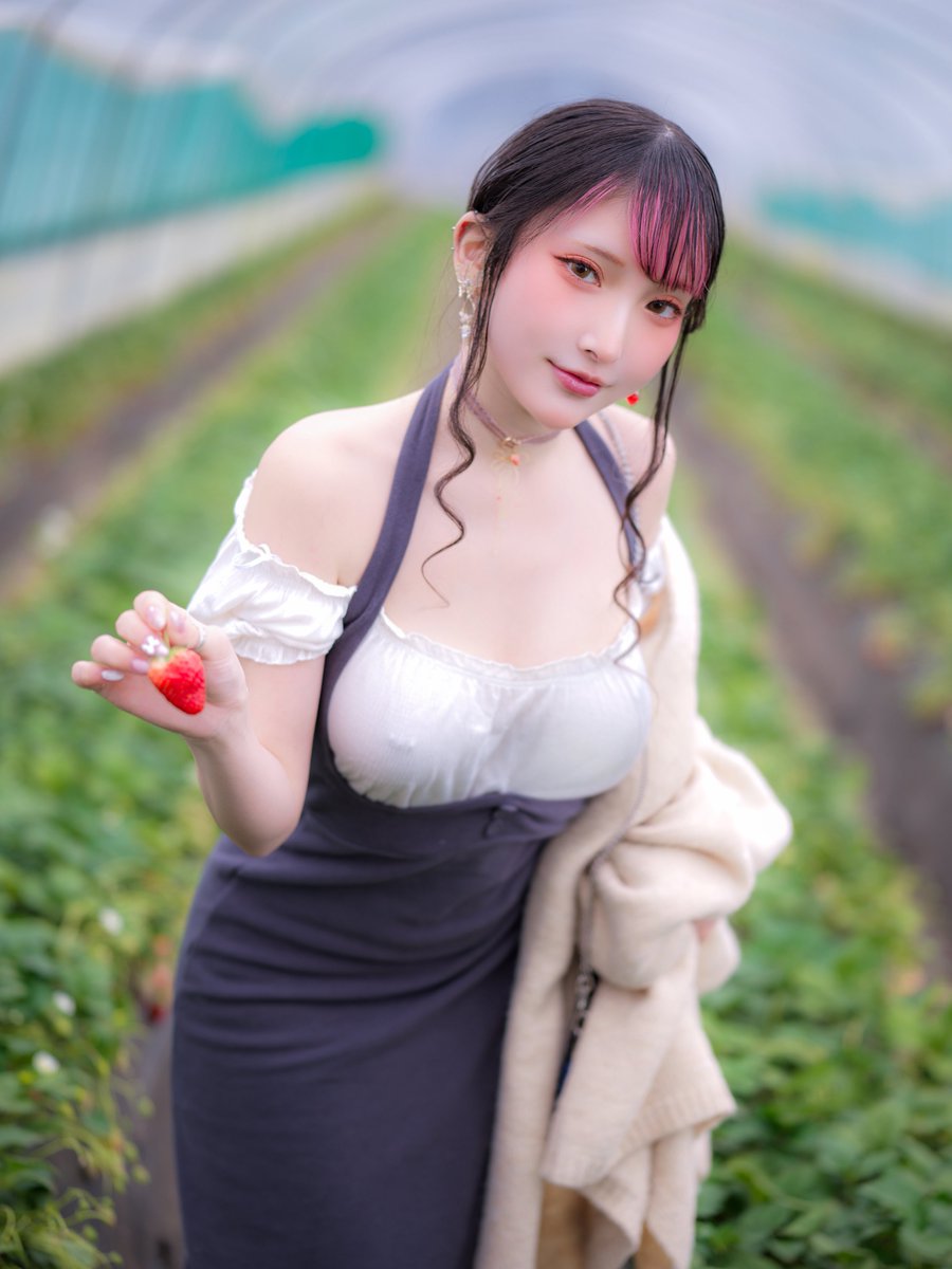 KOMACHI_COS's tweet photo. いちご狩りの季節は、ゴールデンウィーク明けまでだよ…🍓💕

今のうちに来ないと、もう終わっちゃうかもね…？ https://t.co/GZT7ZbWcTv