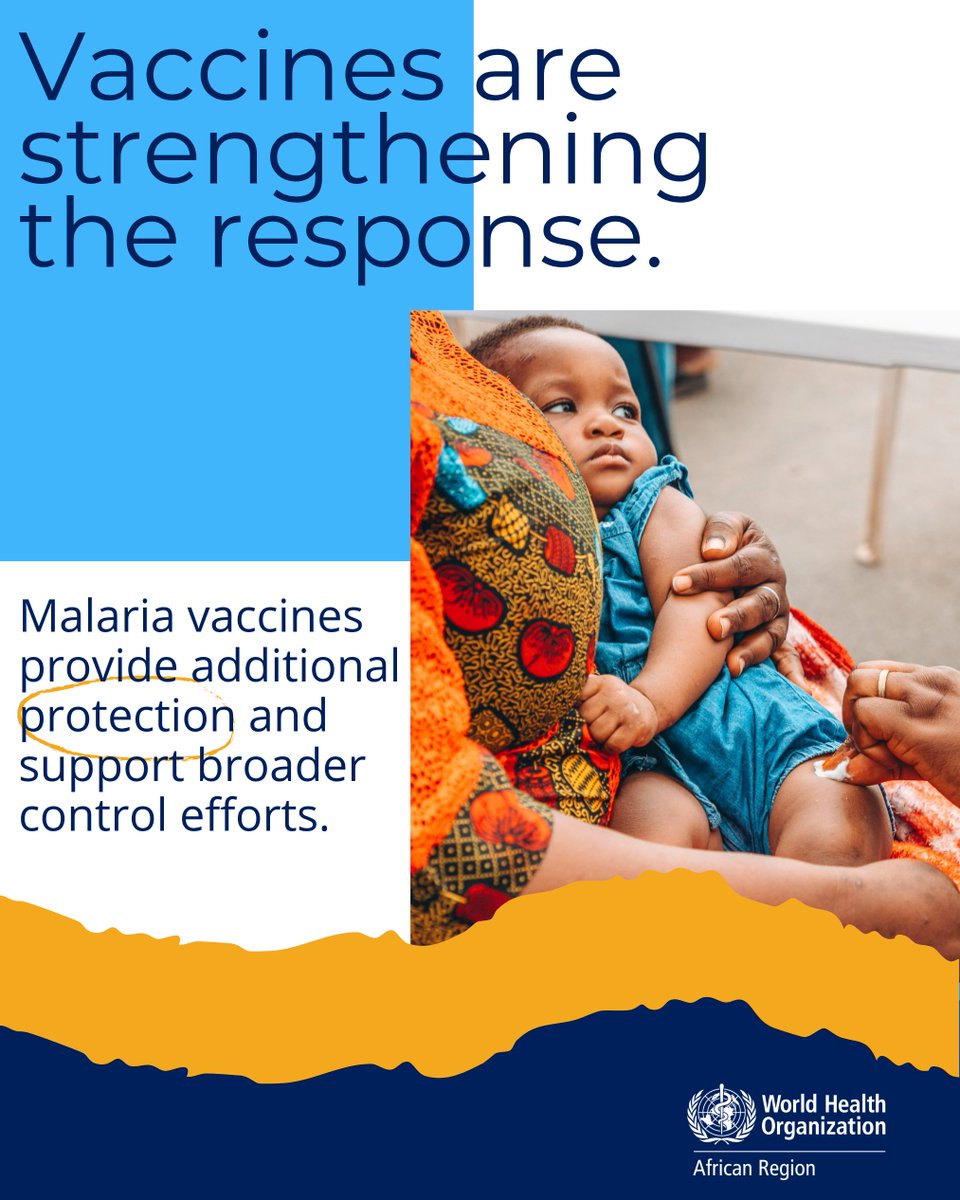 WHOAFRO's tweet photo. Today is #WorldMalariaDay.

The African region bears the heaviest burden of malaria. One child dies of malaria every minute of every day in high-burden areas. 💔

Malaria vaccines are strengthening the response, reducing severe illness and saving lives when combined with proven tools.

Prevention exists. Treatment exists. What’s needed now is sustained investment and action. 🌍

Learn more ➡️ https://t.co/CiSqFHMe8K

#VaccinesWork #WorldImmunizationWeek