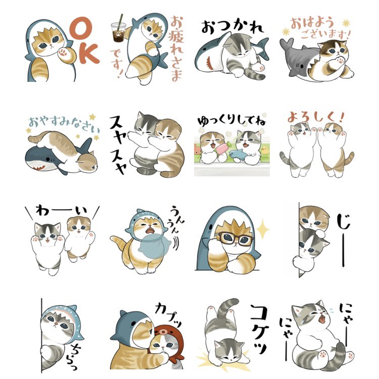 ぢゅの🐈 tweet media