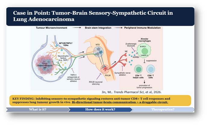 StevenBremMD's tweet image. 🧵 2/3 Key Takeaways are:
1) The "neural niche" in systemic #cancer is comprised of a spatial and functional network within the #TME enriched with infiltrating nerve fibers, neurotrophic factors, #neurotransmitters, #neuropeptides, and immune mediators responsive to neural