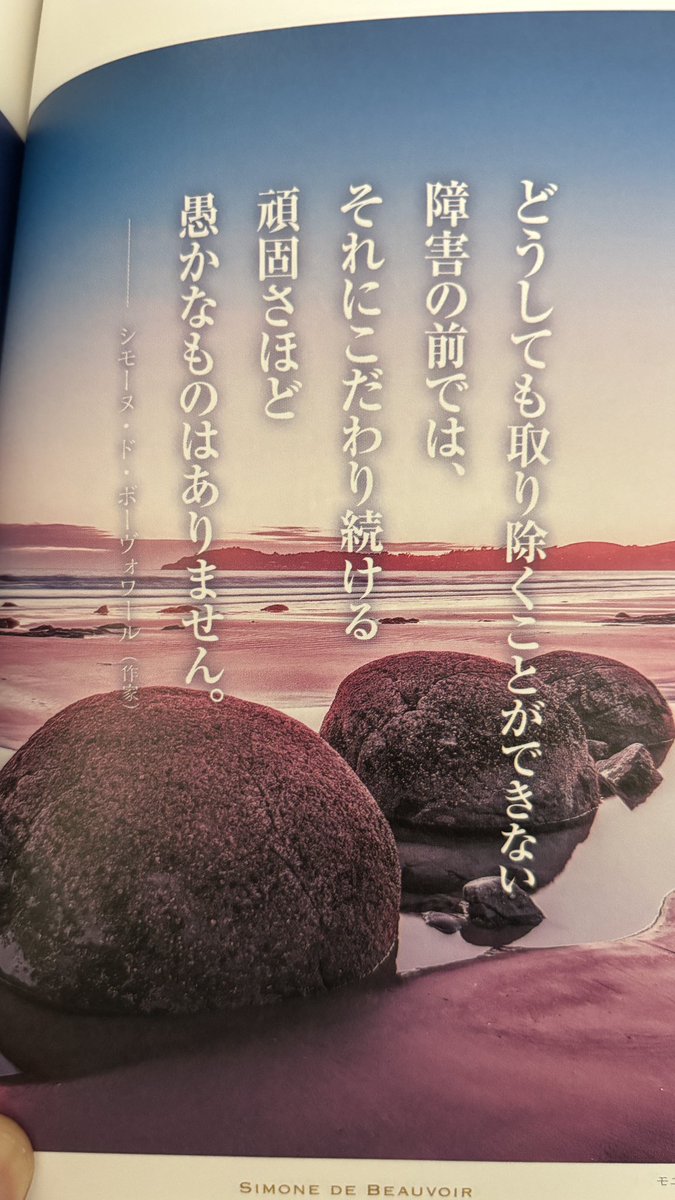 かい＠流石兄弟 tweet media