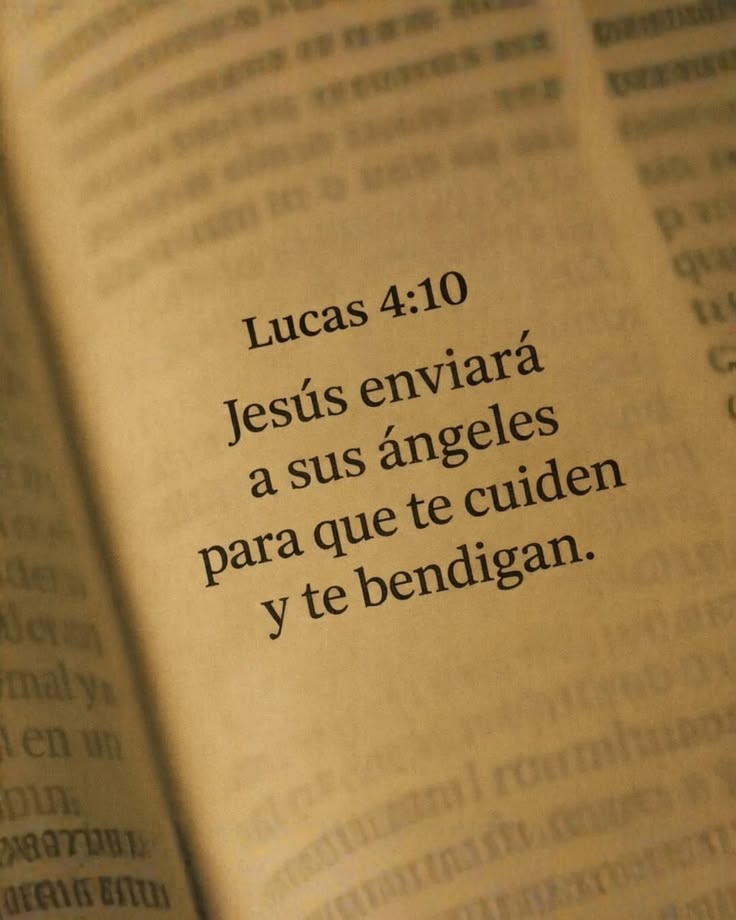 BibliaEnLinea® ⚓️ tweet media