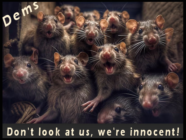 Robert Staunton tweet media