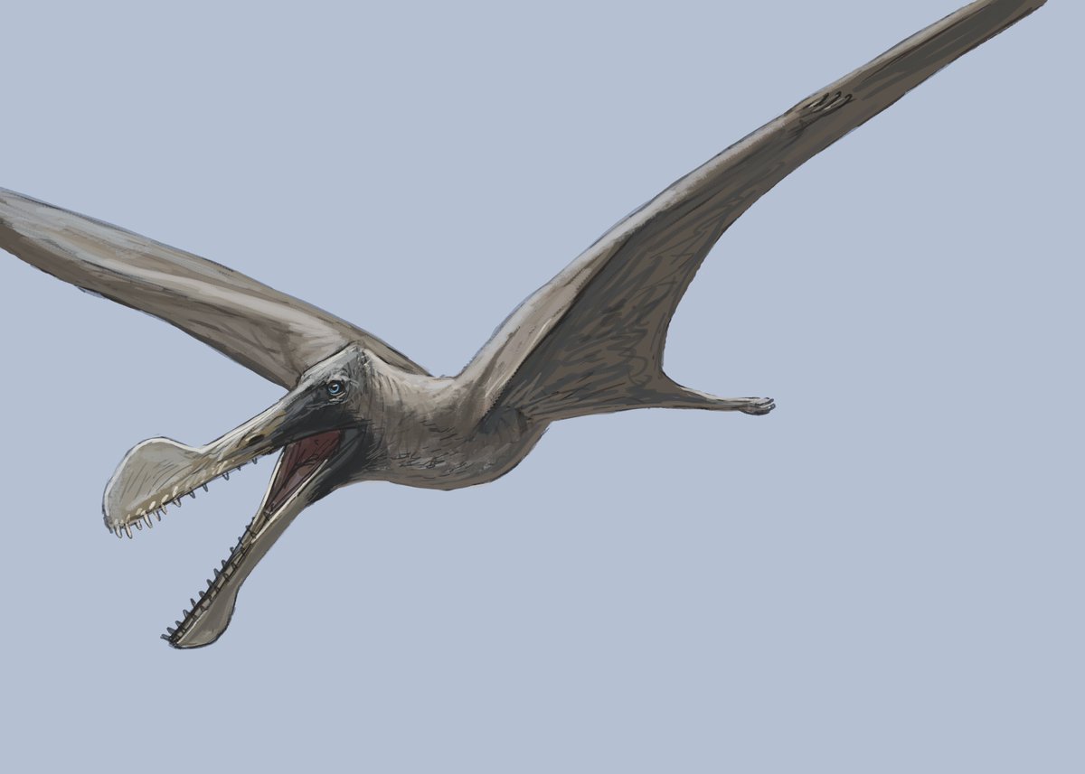 Joschua Knüppe tweet media