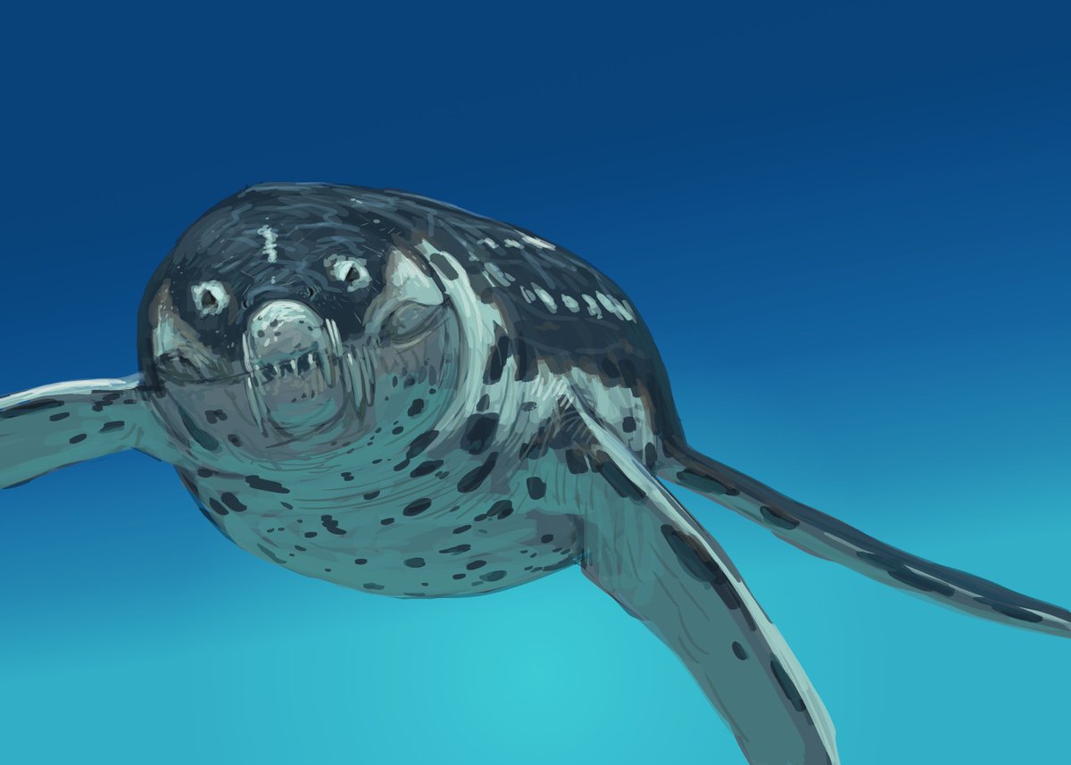 Joschua Knüppe tweet media