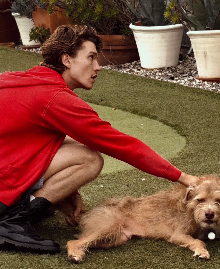 Connor Pics ‎ꫂ᭪݁ tweet media