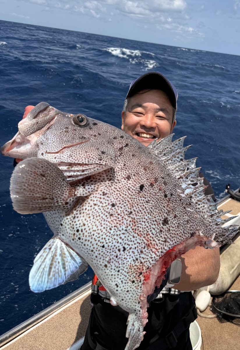 せっかくのツチホゼリでしたがサメに半分持っていかれてしまいましたww

沖縄名ではタカバーミーバイと呼ばれ知っている人は知っている高級魚です。今夜、あしびばー武cで実食予定です！#愛音 #海姫 #沖縄