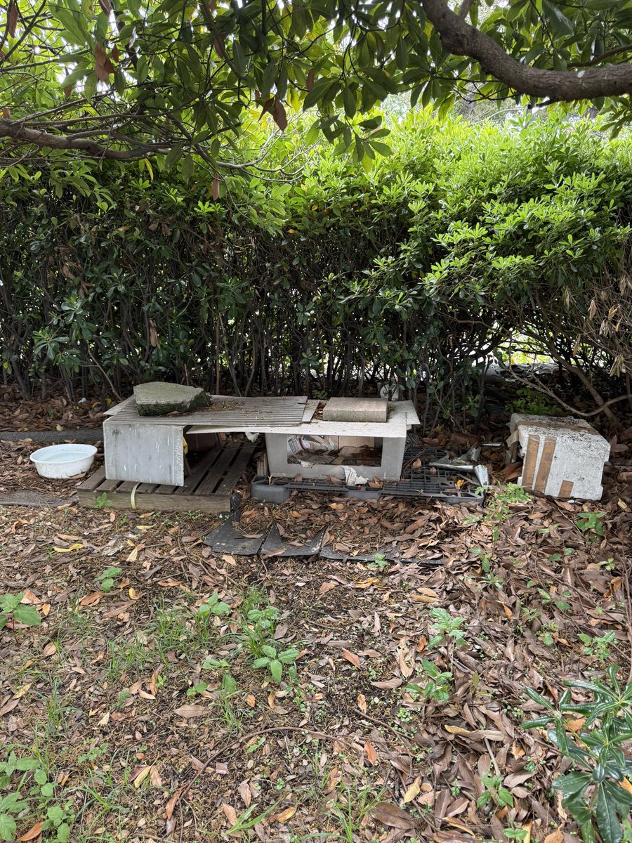 ポンション tweet media