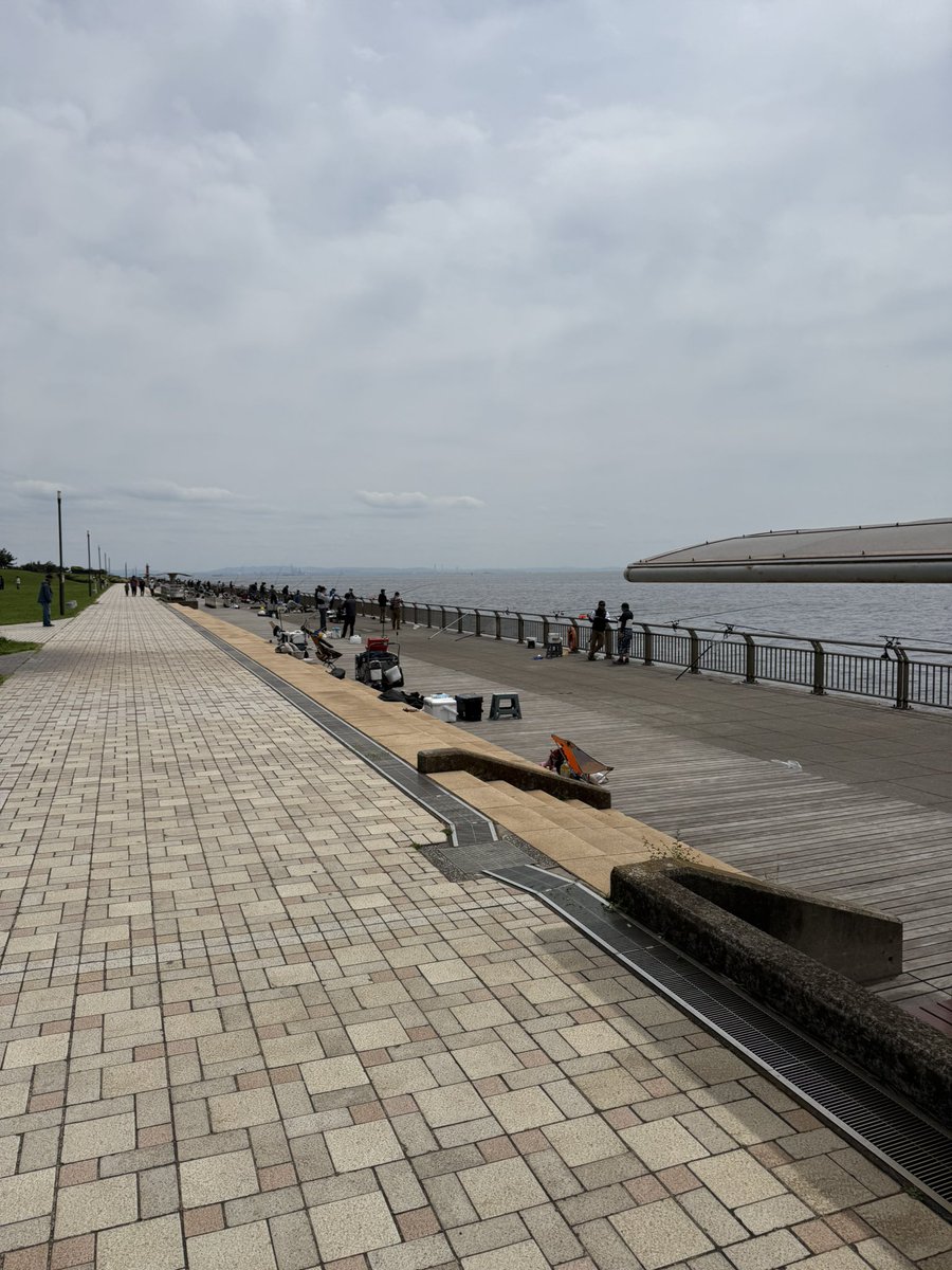 ポンション tweet media