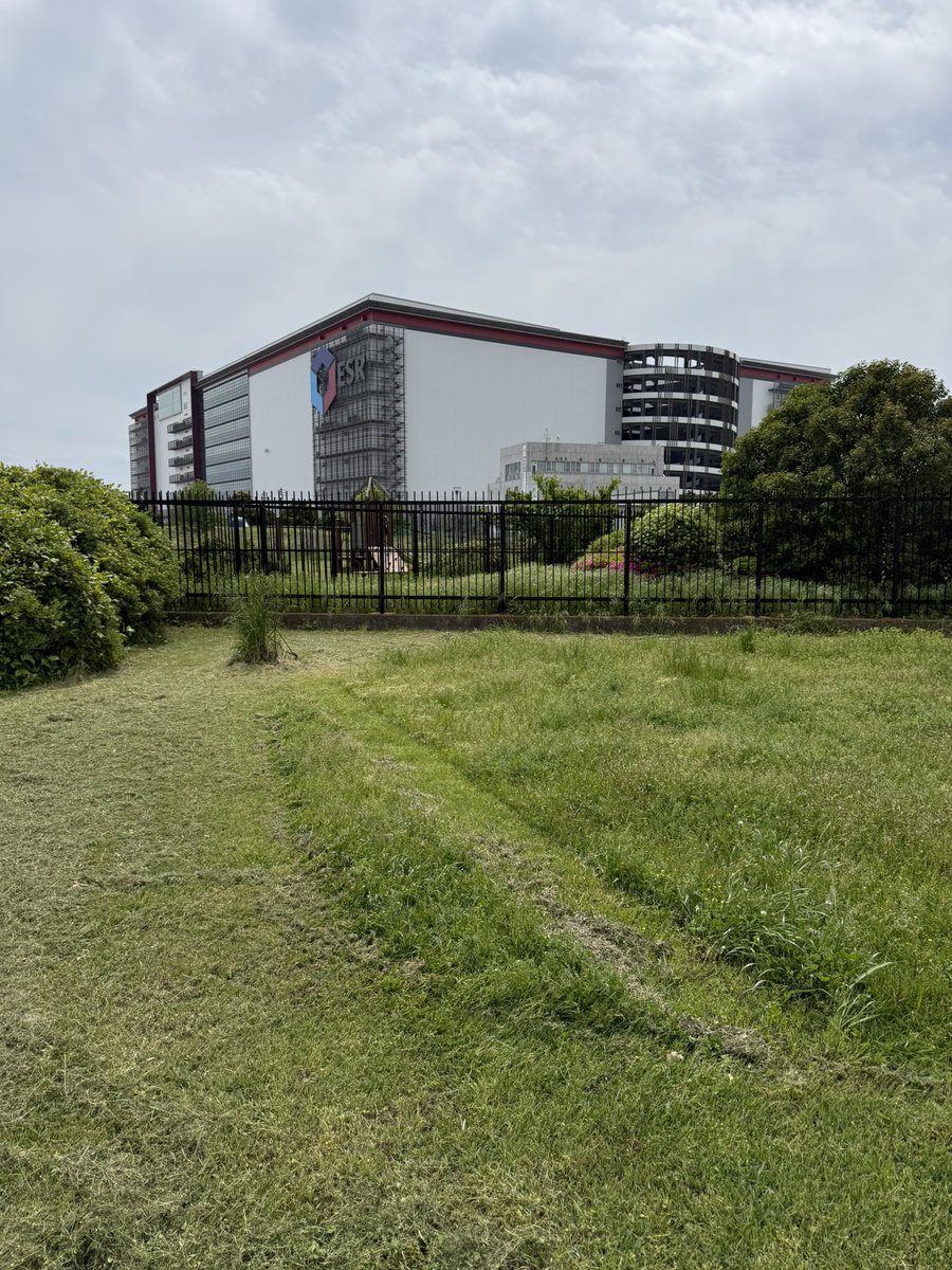 ポンション tweet media