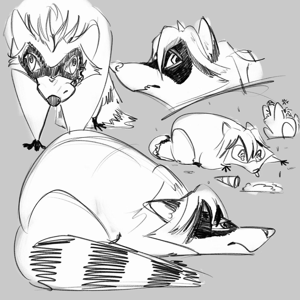 Crow tweet media