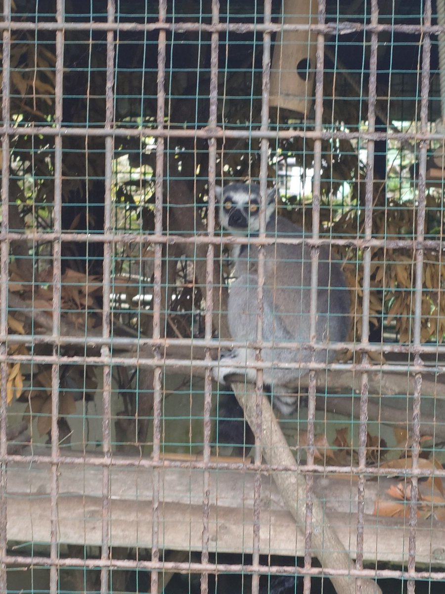 【GTTQ】さしみ tweet media