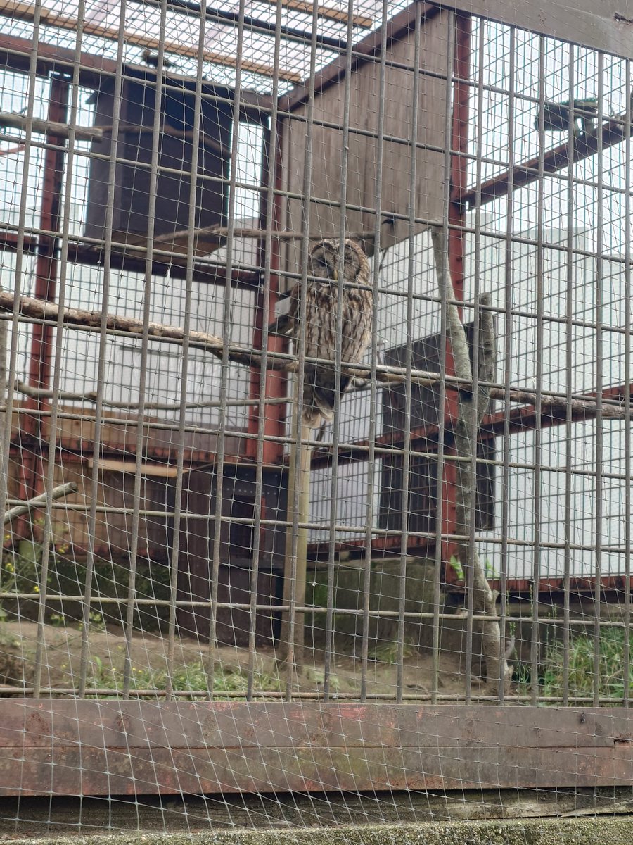 【GTTQ】さしみ tweet media