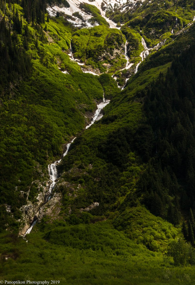 PhotoPanoptikon's tweet image. Some #waterfalls from my travels...

Featuring: Shannon Falls in Squamish, BC, Canada; the 'Devil's Cauldron' near Banos, Ecuador; a #waterfall in Roger's Pass in the Canadian Rockies; and another look at Shannon Falls.

@PhotoPanoptikon 

#waterfallphotography #NaturePhotography
