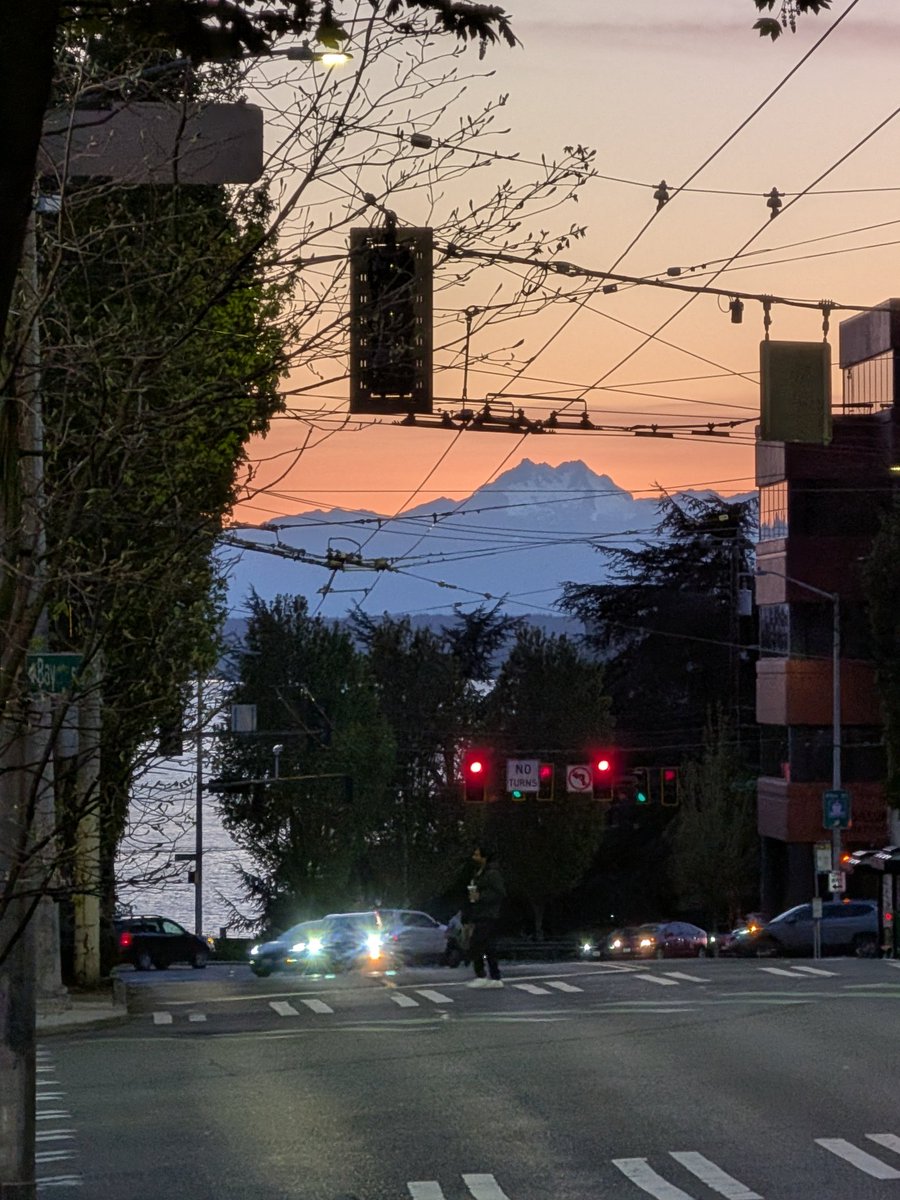 Ross Peterson tweet media