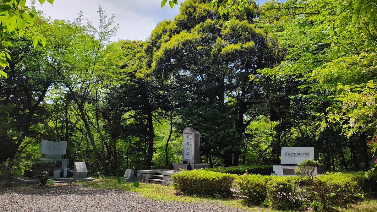 くわぽん＠24-25舞由良 tweet media