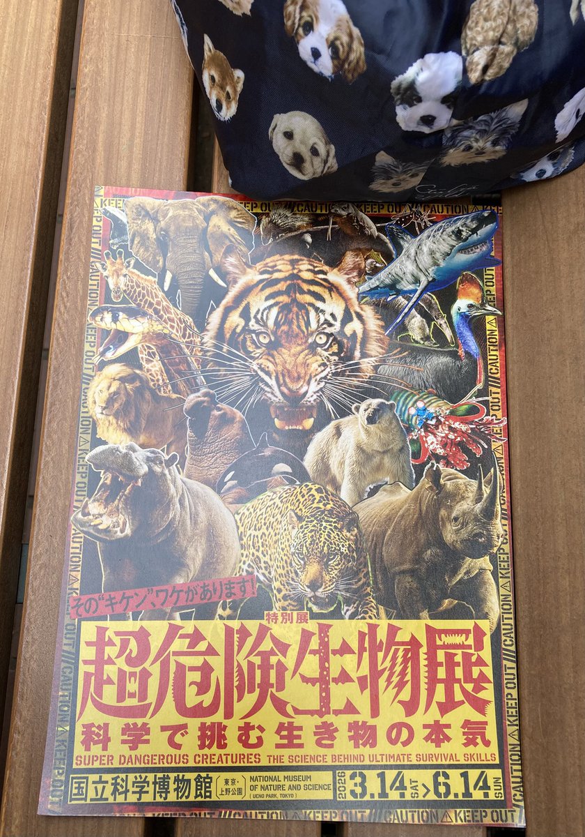 おもしろかったよ☆