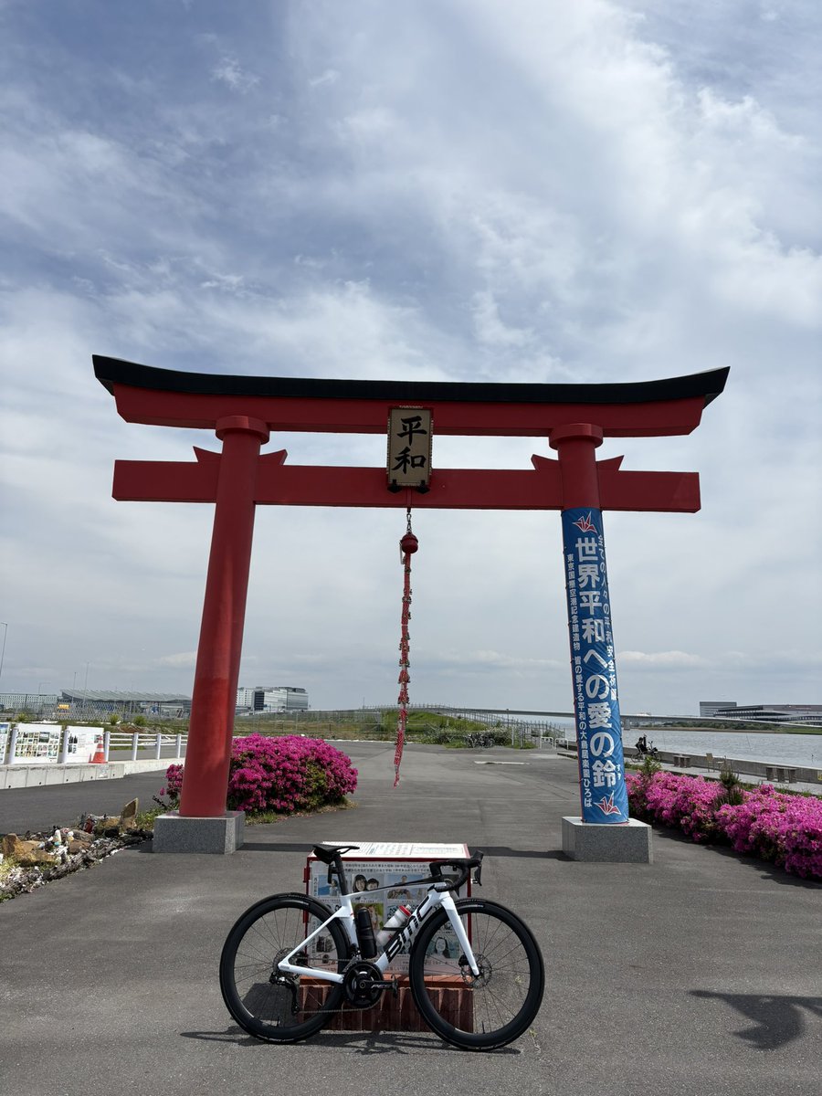 のむ／^o^＼ﾌｯｼﾞｻ-ﾝ tweet media