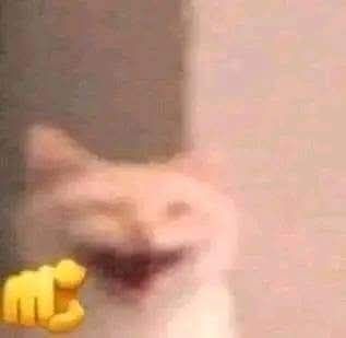 Randomachine tweet media