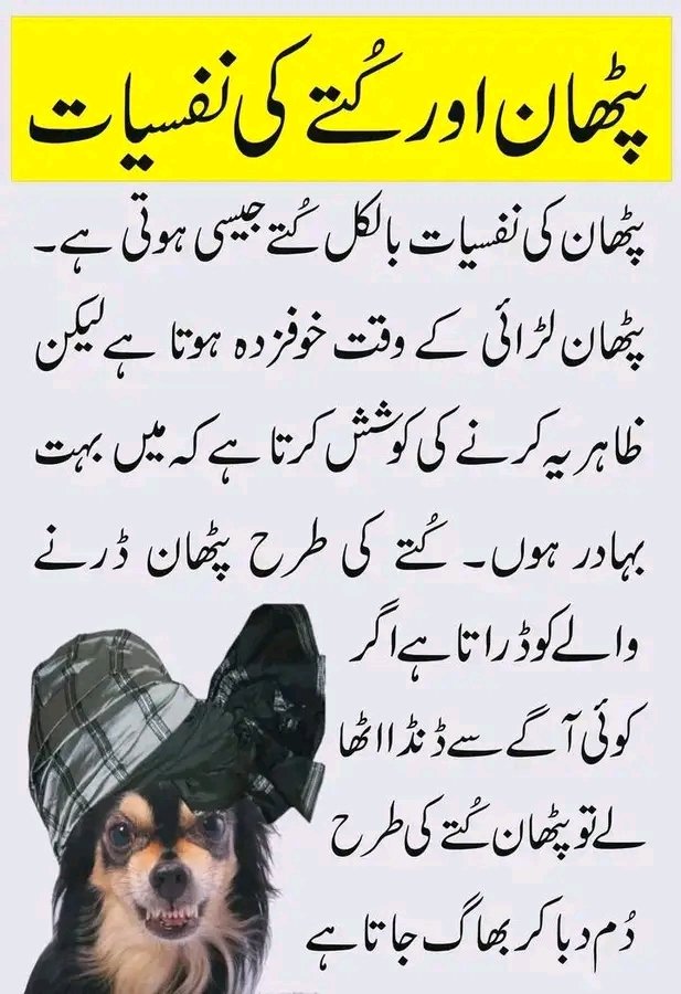 panjdeozai's tweet photo. Did you know? Dogs and Pashtuns have the same psychology
_
#Pashtun #GenZ #Facts #Psychology #DeepTalks #CultureVibes #Mindset #XPost #Pathan #Pashto https://t.co/tAGxpDr2wi