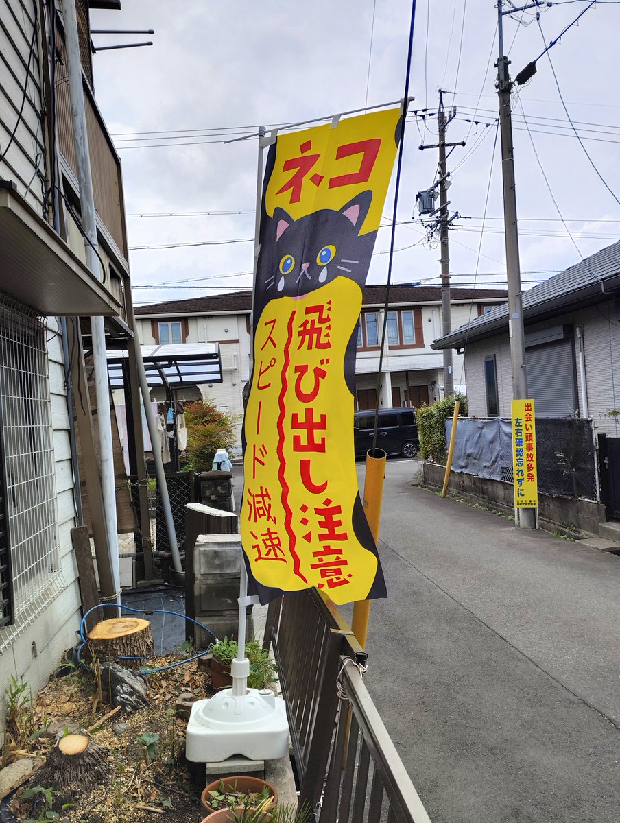 沢　とおる tweet media
