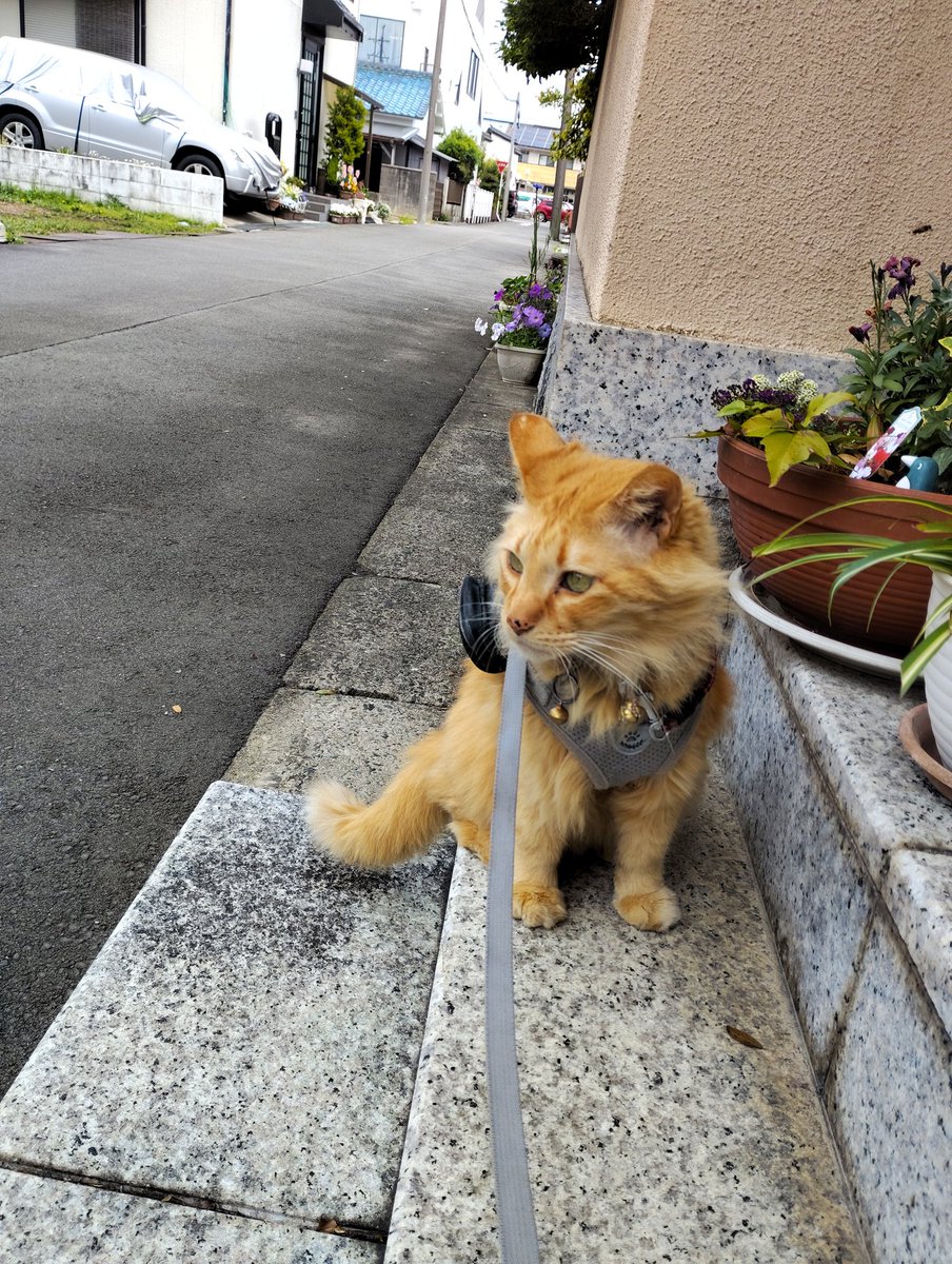 沢　とおる tweet media