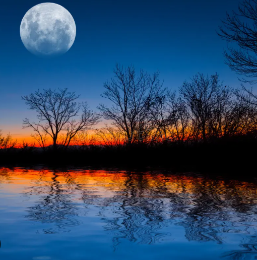 B Rasmussen tweet media