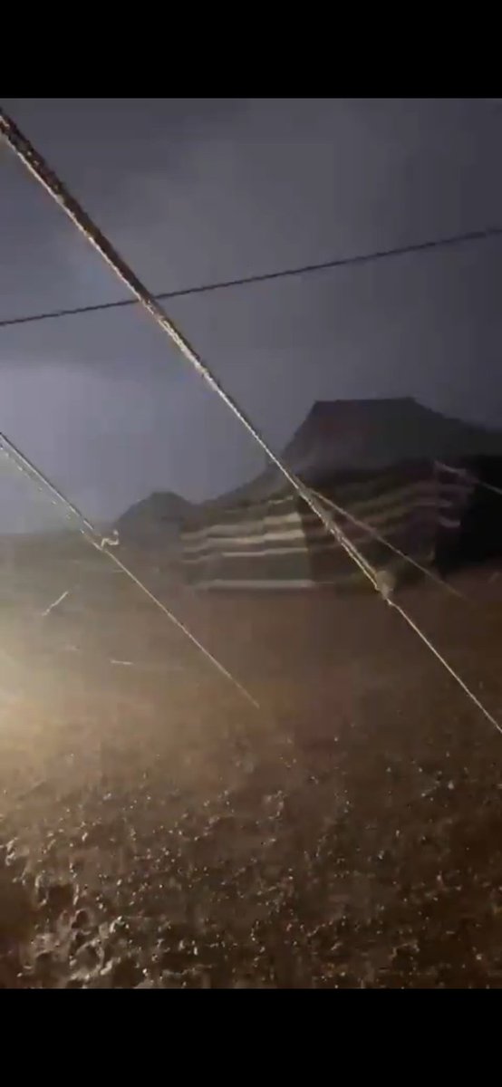 مكهرب الاسهم tweet media