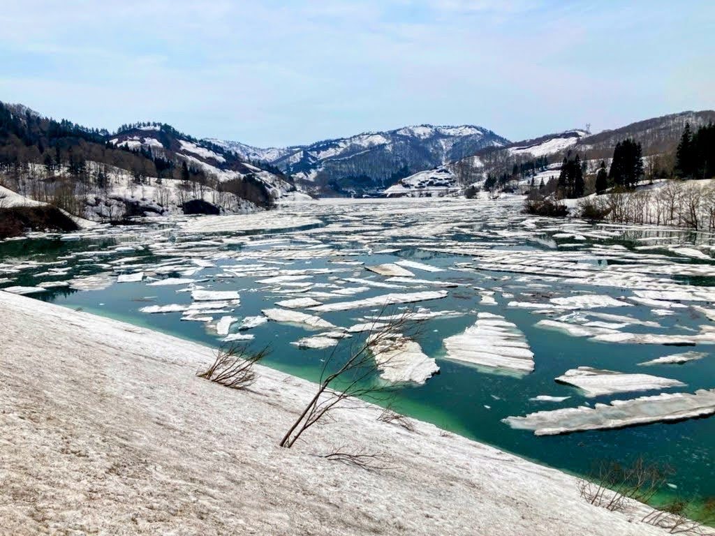 itumoaoi's tweet image. Share your shots for Flow Friday 🌊🌿

Take a new photo or choose one from your gallery!

#FlowFriday #HappyFriday 
#weekend