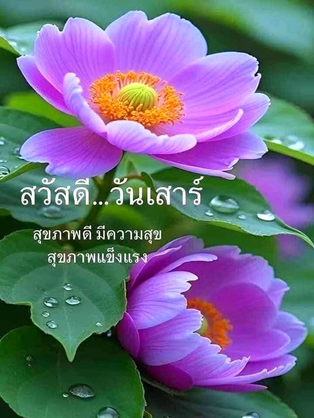 เบบี้อิษราลี ☘︎ ݁˖ วันนี้มีรักเติมเต็ม tweet media