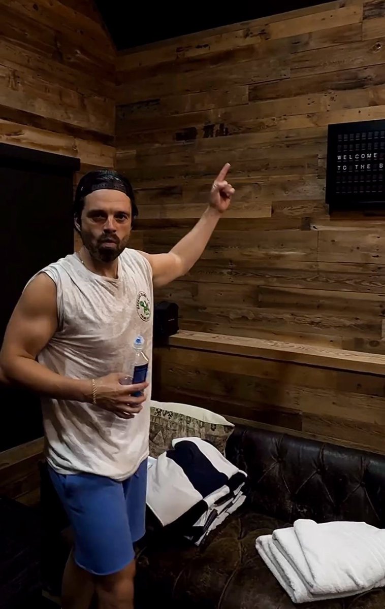 Sebastian Stan tweet media