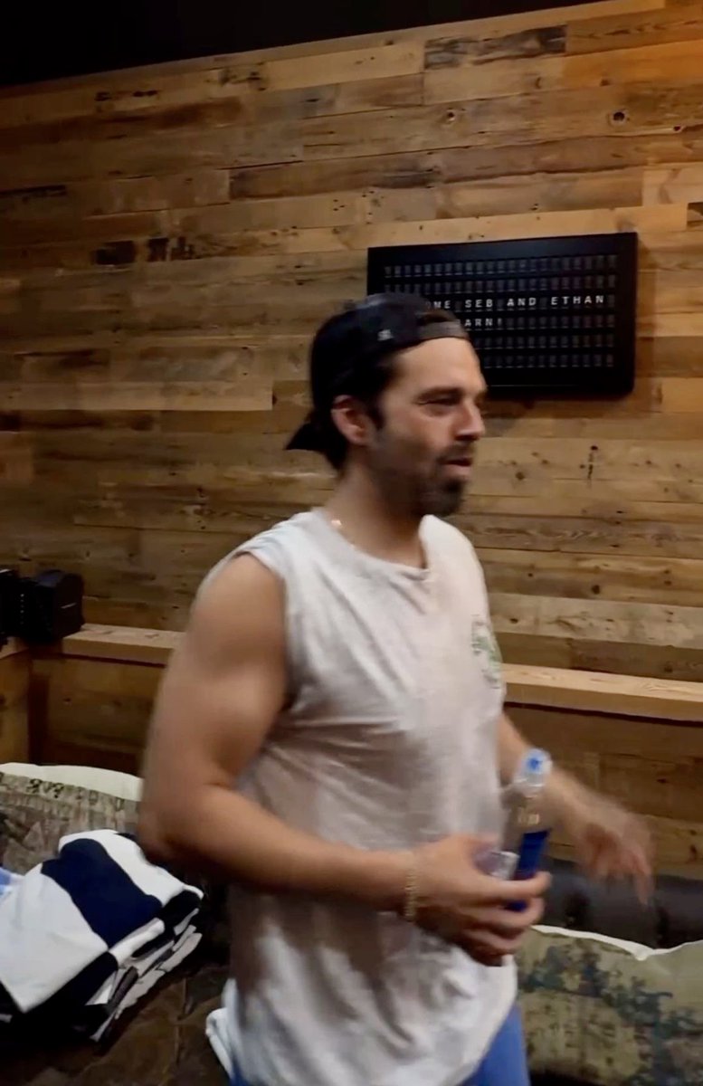 Sebastian Stan tweet media