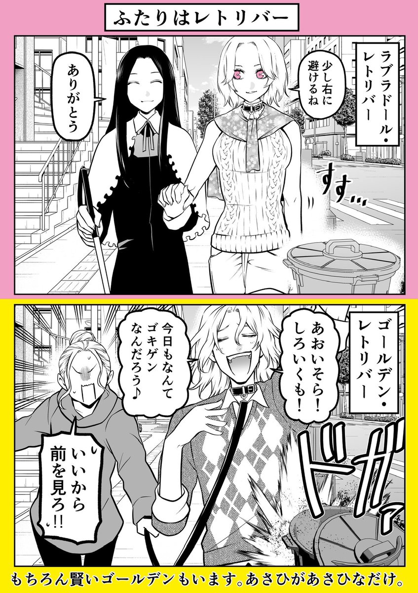 〈再掲〉ふたりはレトリバー。