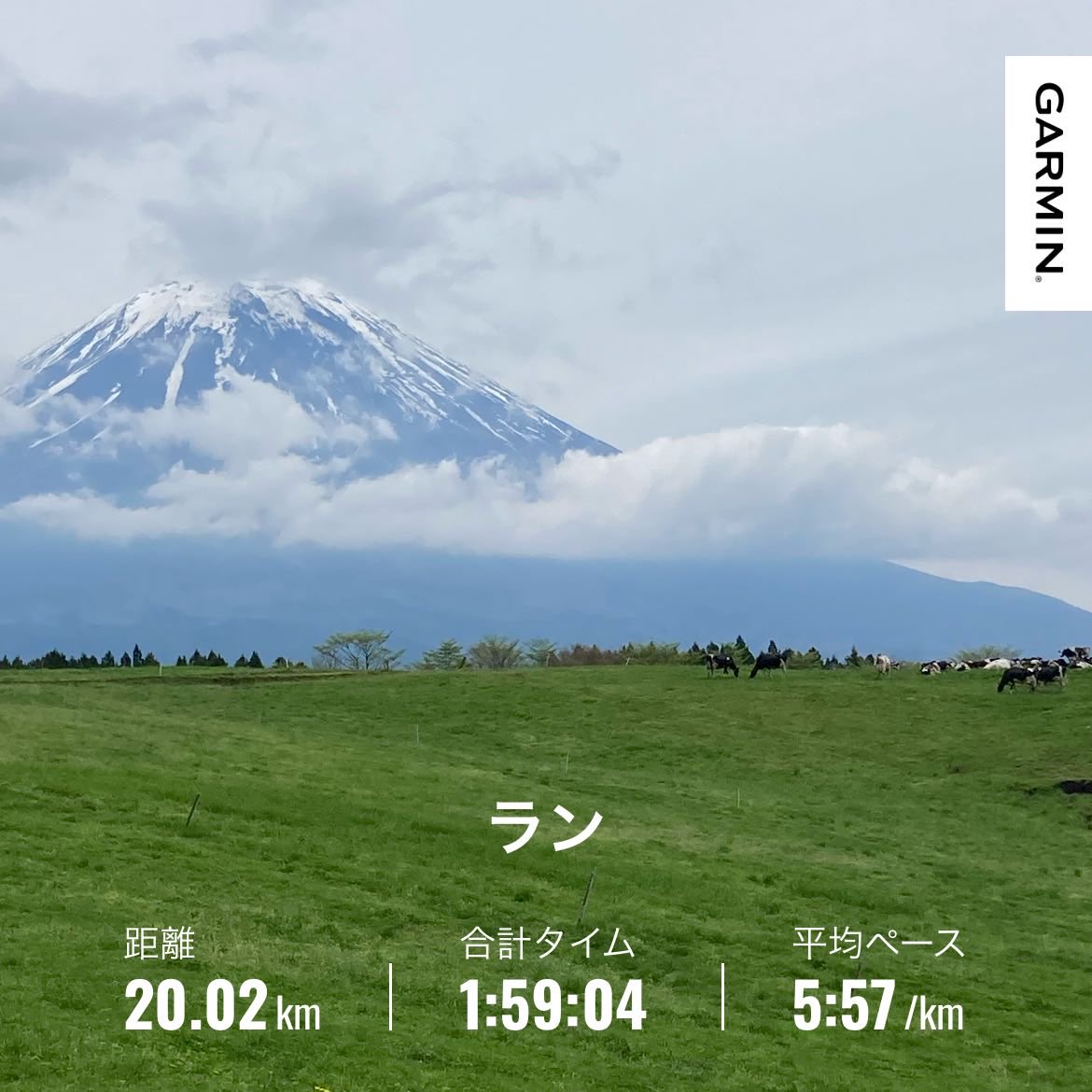 モンゴリアンチョップ@5/9みなかみ人犬同伴トレイル tweet media