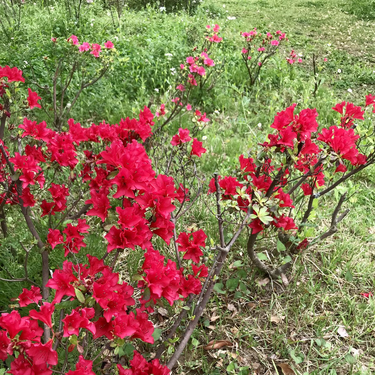 阿佐ヶ谷CORNER tweet media