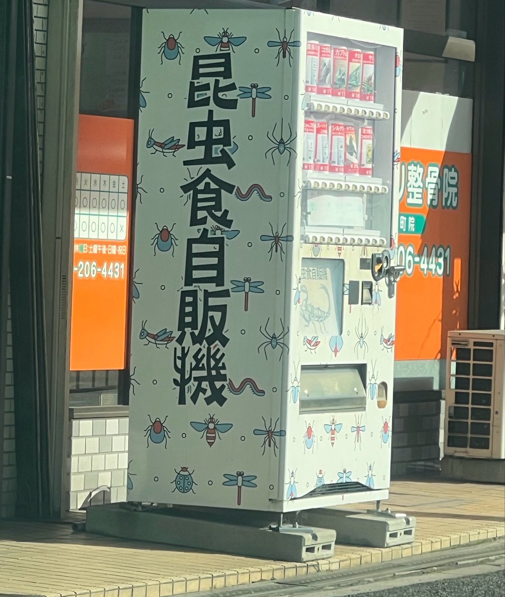 みさき【みさきちゃんネル】 tweet media